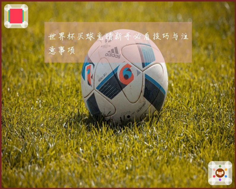 世界杯买球竞猜新手必看技巧与注意事项