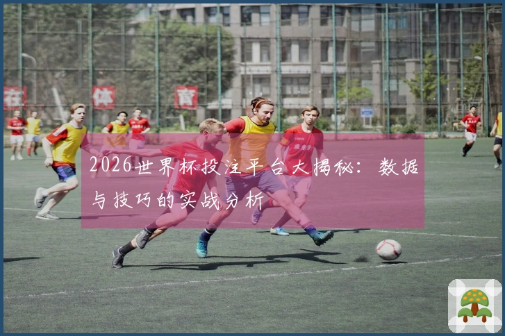 2026世界杯投注平台大揭秘：数据与技巧的实战分析