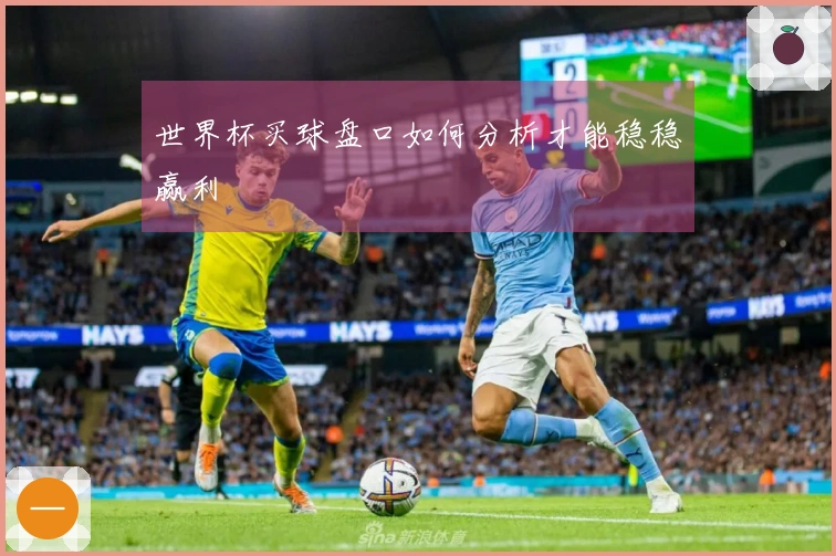 世界杯买球盘口如何分析才能稳稳赢利