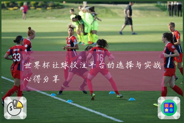 世界杯让球投注平台的选择与实战心得分享
