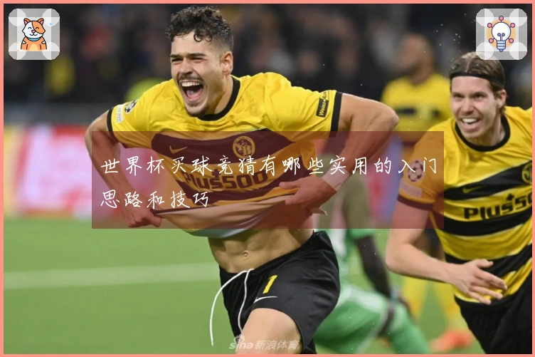 世界杯买球竞猜有哪些实用的入门思路和技巧