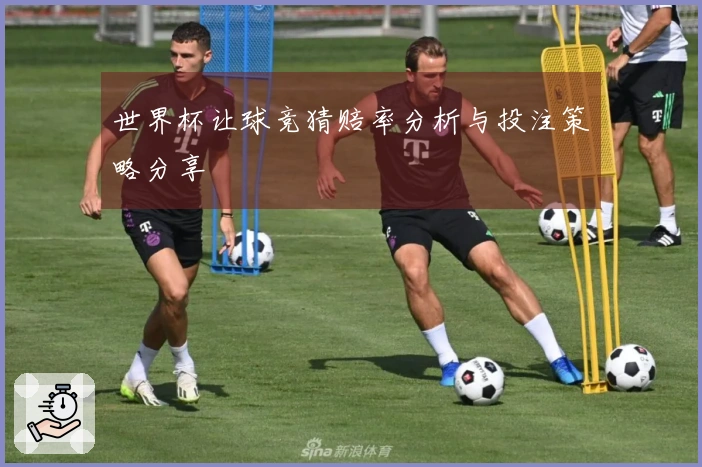 世界杯让球竞猜赔率分析与投注策略分享