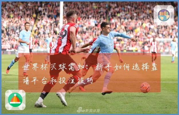 世界杯买球需知：新手如何选择靠谱平台和投注技巧