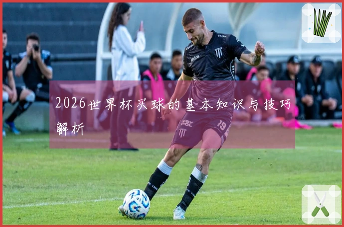 2026世界杯买球的基本知识与技巧解析