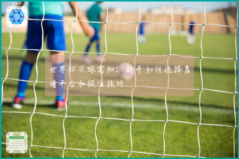 世界杯买球需知：新手如何选择靠谱平台和投注技巧