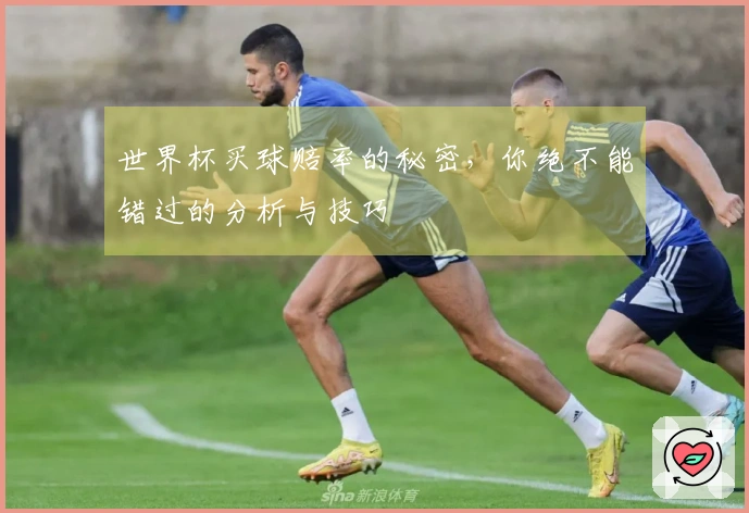 世界杯买球赔率的秘密，你绝不能错过的分析与技巧
