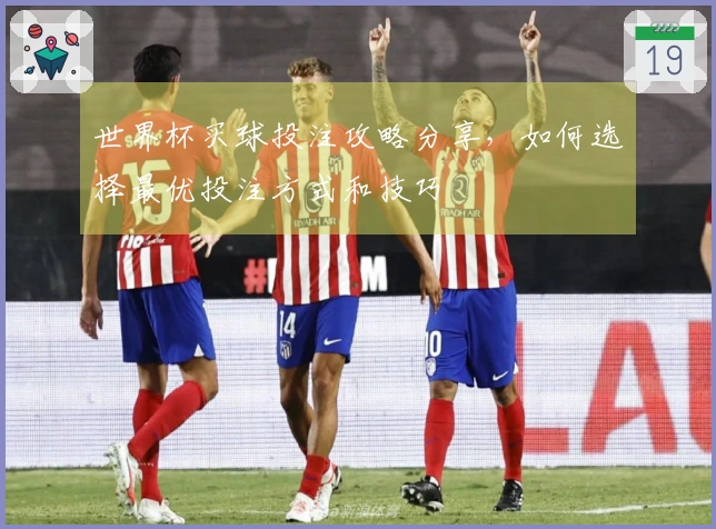 世界杯买球投注攻略分享，如何选择最优投注方式和技巧