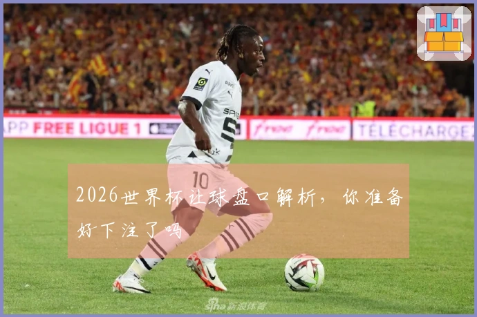 2026世界杯让球盘口解析，你准备好下注了吗