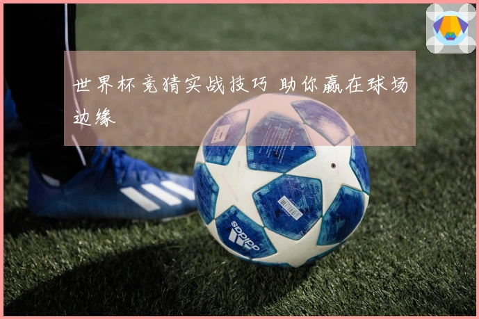 世界杯竞猜实战技巧 助你赢在球场边缘