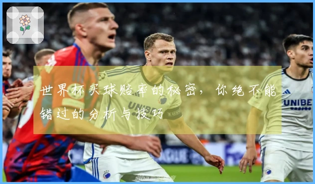 世界杯买球赔率的秘密，你绝不能错过的分析与技巧