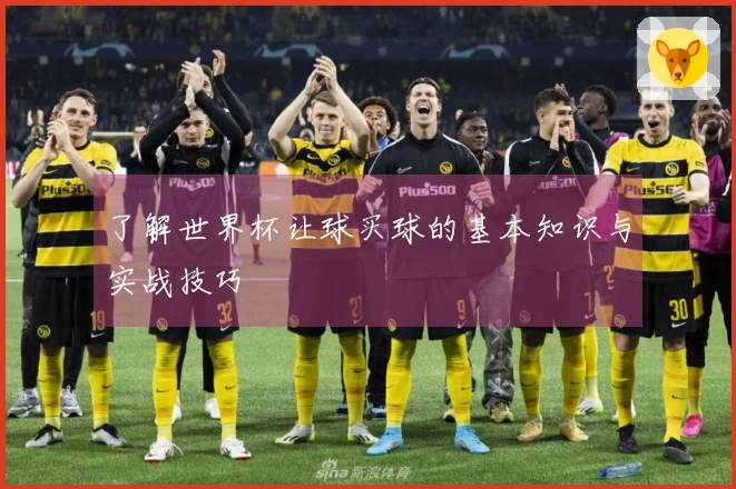 了解世界杯让球买球的基本知识与实战技巧