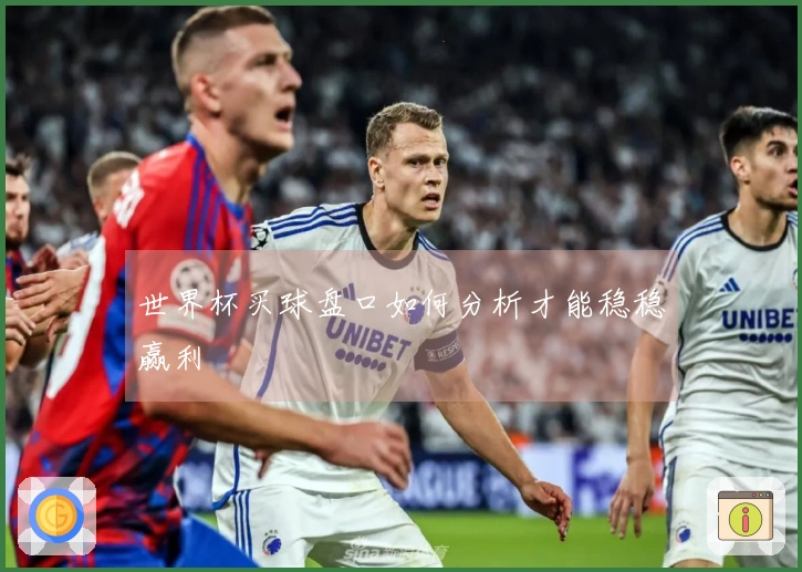 世界杯买球盘口如何分析才能稳稳赢利
