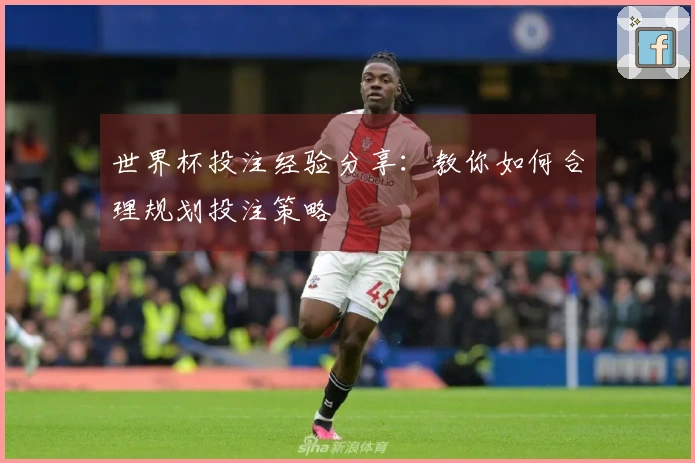 世界杯投注经验分享：教你如何合理规划投注策略