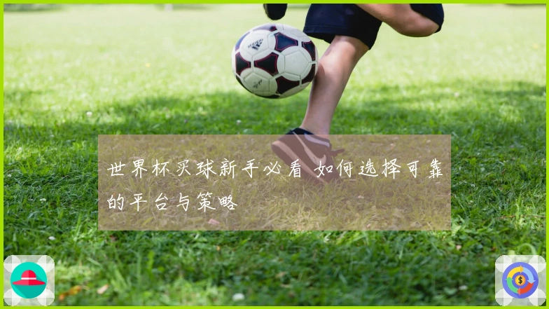 世界杯买球新手必看 如何选择可靠的平台与策略