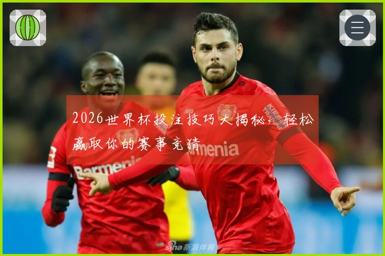 2026世界杯投注技巧大揭秘，轻松赢取你的赛事竞猜