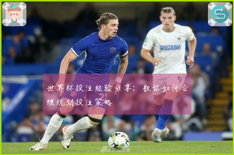 世界杯投注经验分享：教你如何合理规划投注策略