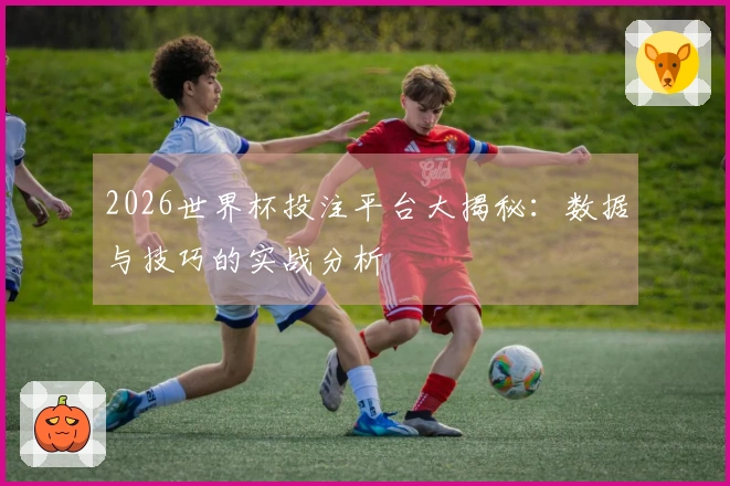 2026世界杯投注平台大揭秘：数据与技巧的实战分析