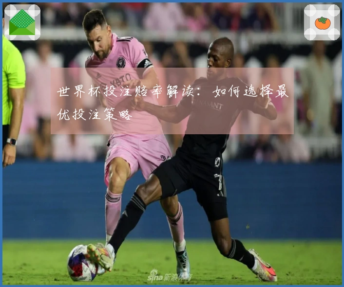世界杯投注赔率解读：如何选择最优投注策略