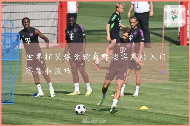 世界杯买球竞猜有哪些实用的入门思路和技巧